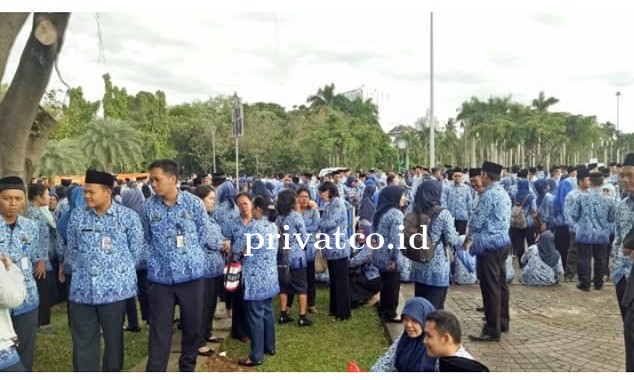 Pembukaan Penerimaan CPNS 2023 Dibuka, Lebih Fokus pada Rekrutmen Digital